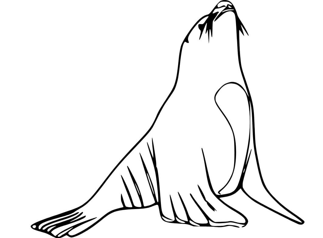 Fise de colorat cu Leu de Mare uşor la copii