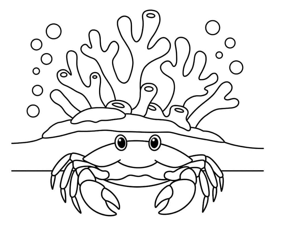 Fise de colorat cu Recif de corali 1