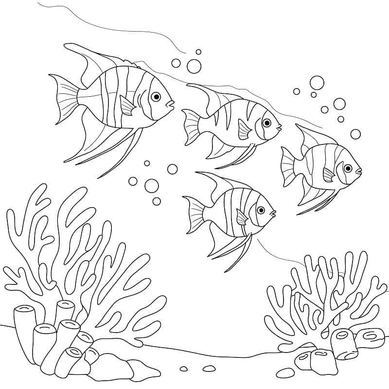 Fise de colorat cu Recif de corali 6