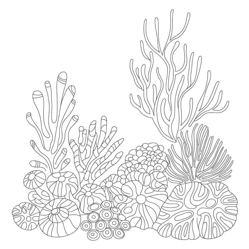 Fise de colorat cu Recif de corali imprimabil