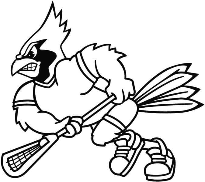 Fise de colorat cu Cardinal gratuit bazic