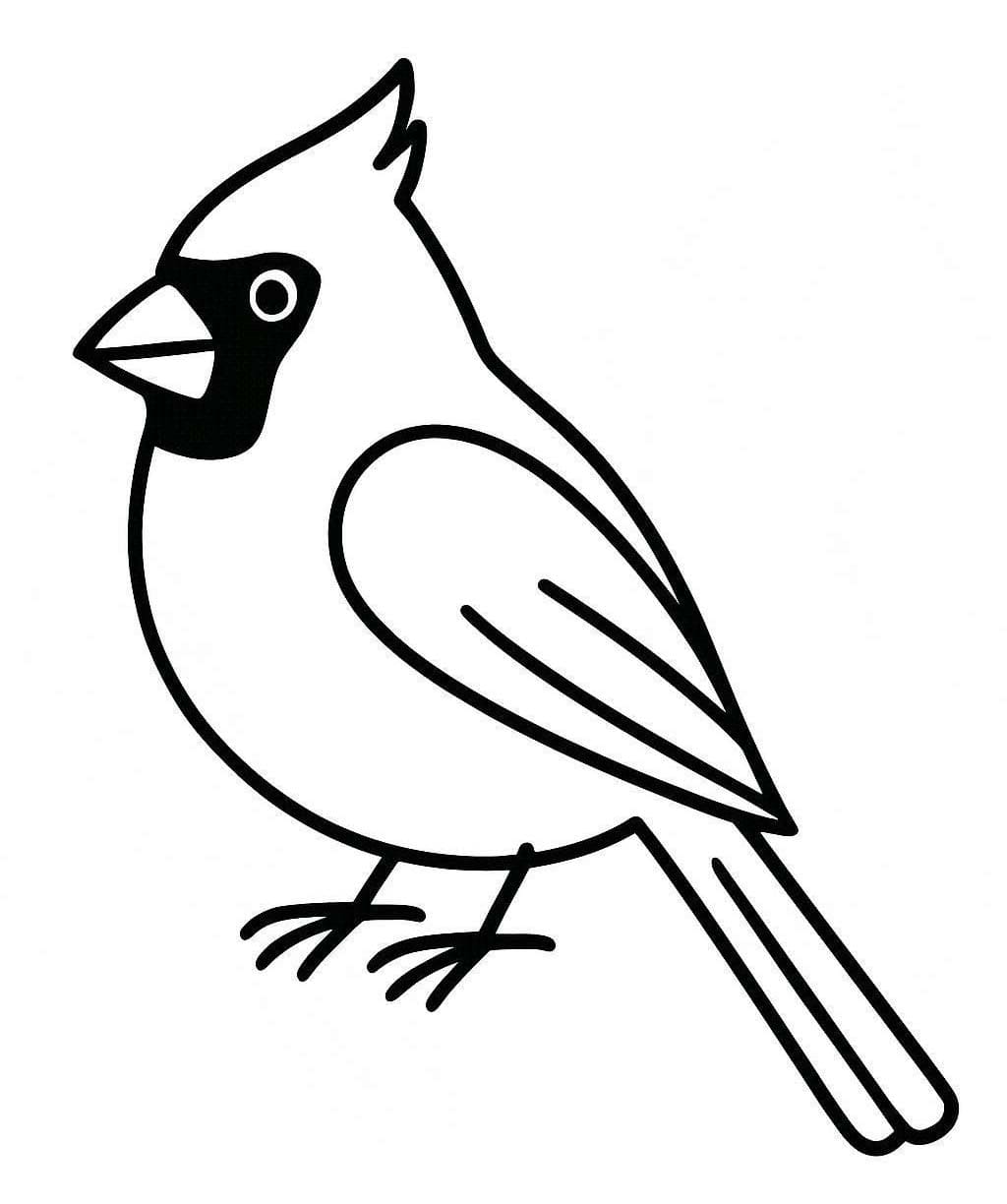 Fise de colorat cu Cardinal imprimabil gratuit simplu