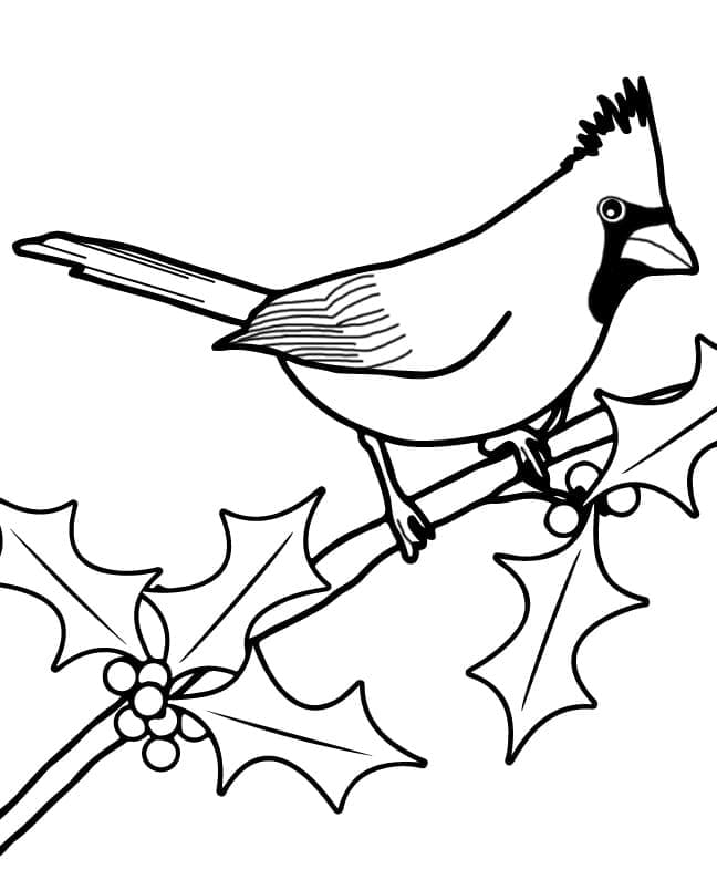 Fise de colorat cu Desenează Cardinal imprimabil bazic