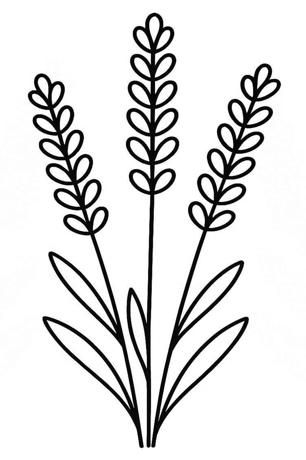 Fise de colorat cu Desenează Lavandă gratuit simplu