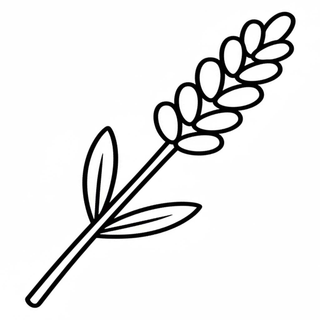 Fise de colorat cu Desenează Lavandă imprimabil pentru copii