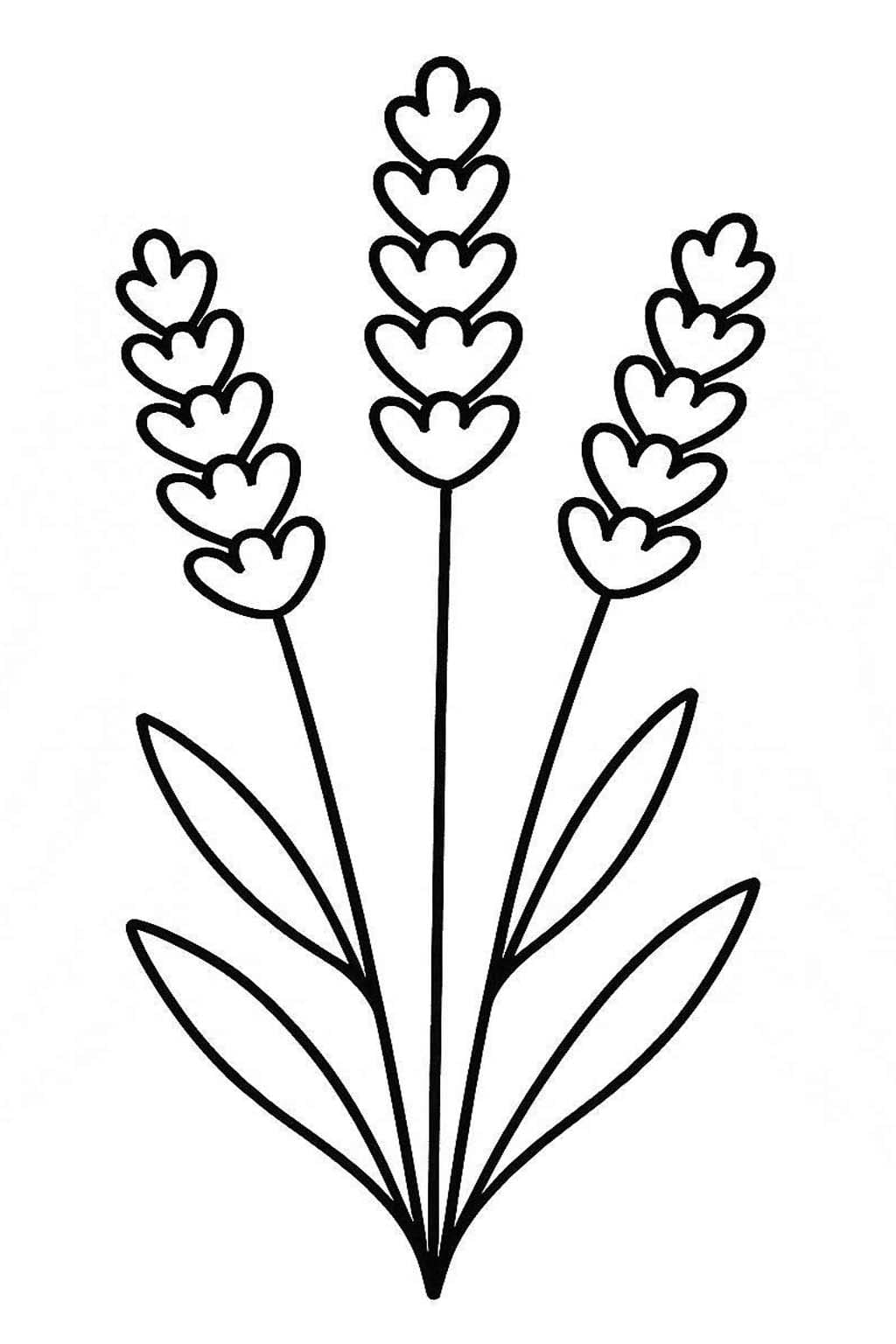 Fise de colorat cu Desenează Lavandă imprimabil simplu