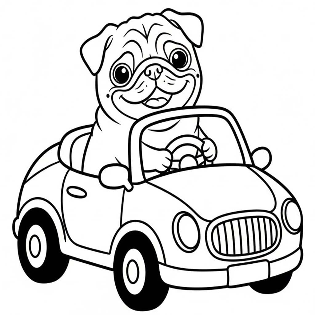 Fise de colorat cu Desenează Mops simplu