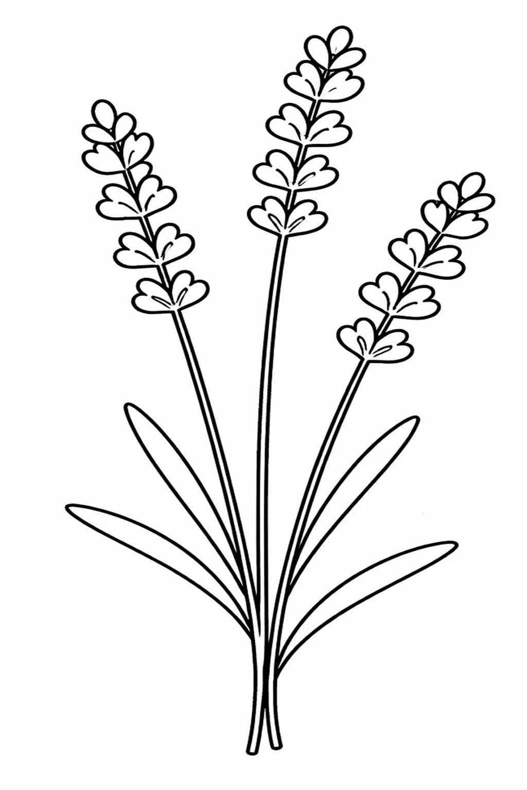 Fise de colorat cu Lavandă imprimabil simplu