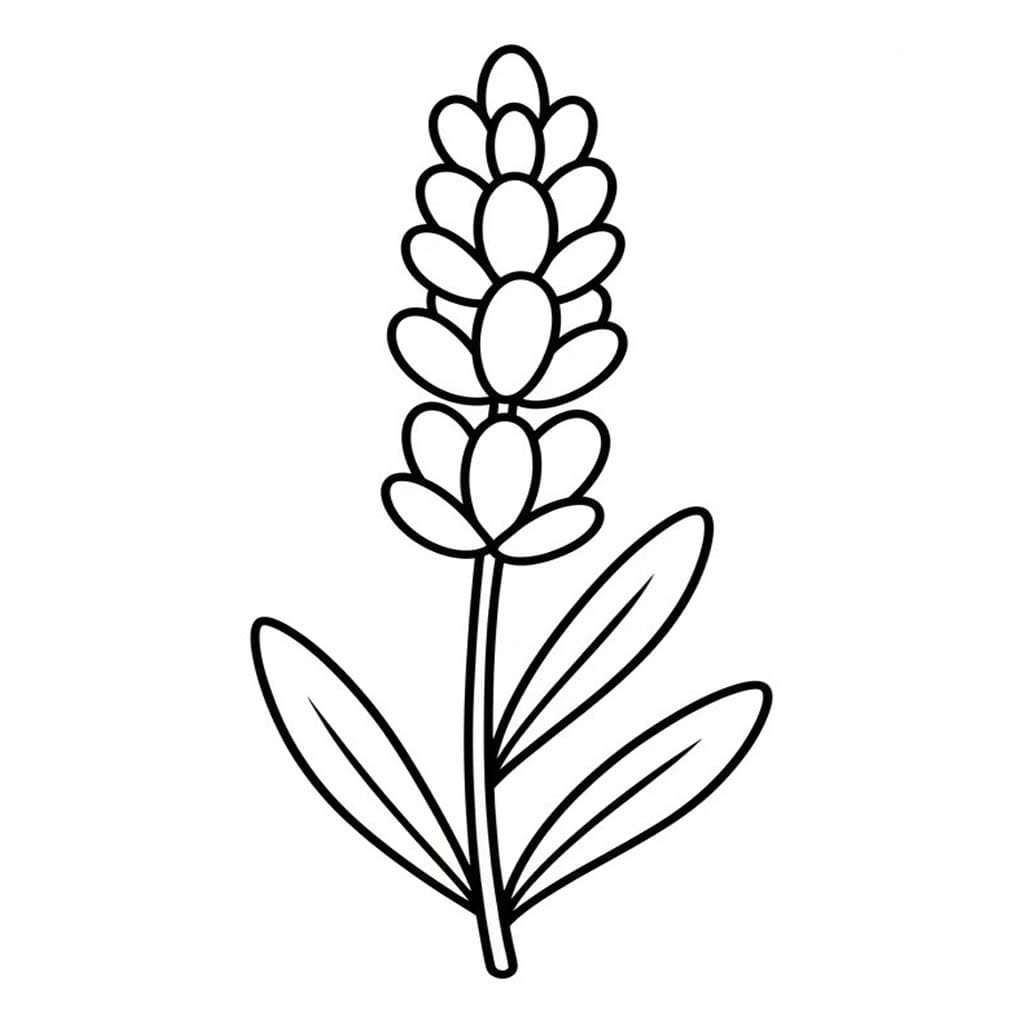 Fise de colorat cu Lavandă imprimabil