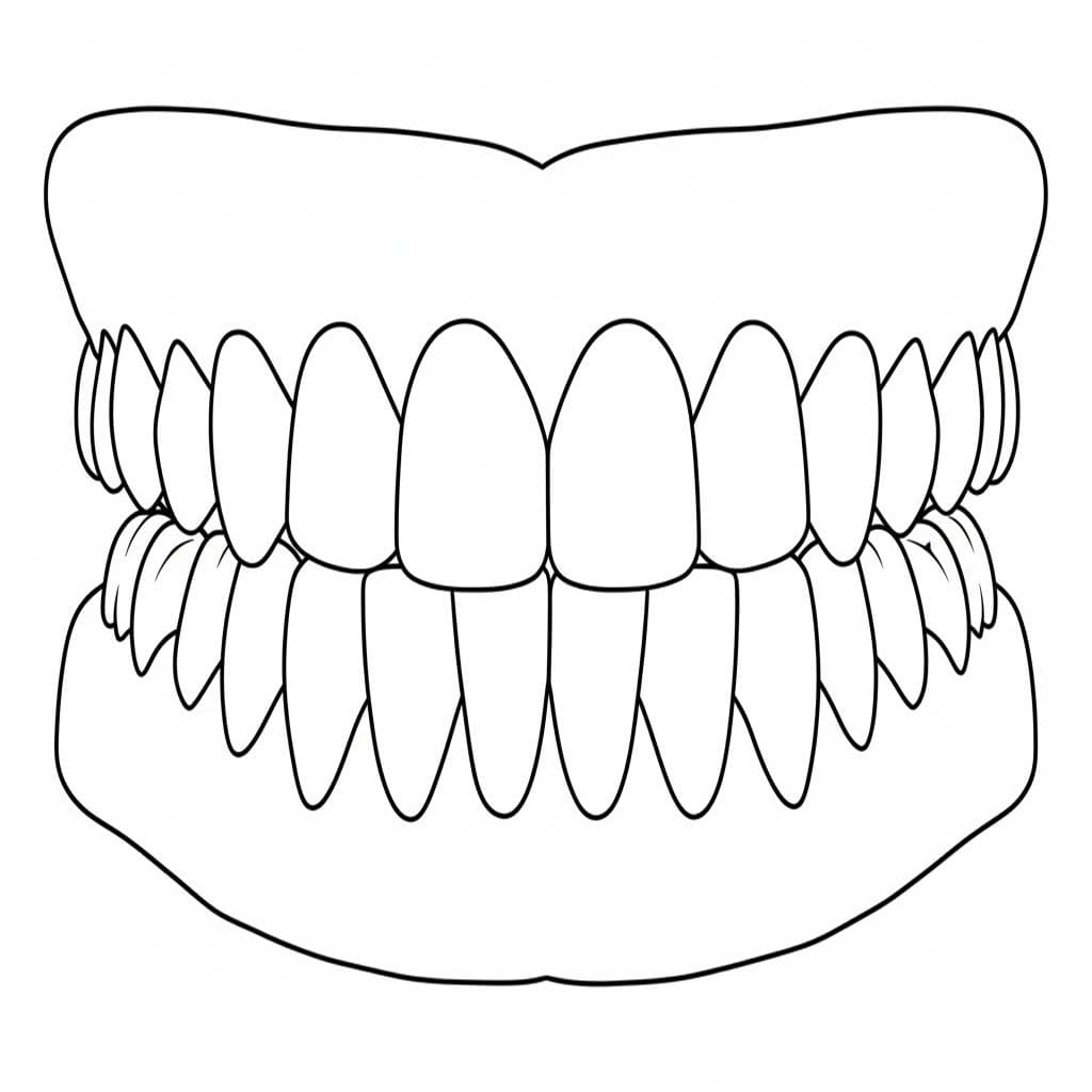 Fise de colorat cu Desenează Dinte gratuit bazic