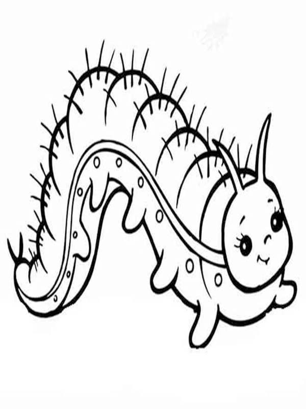 Fise de colorat cu Desenează Omida bazic la copii