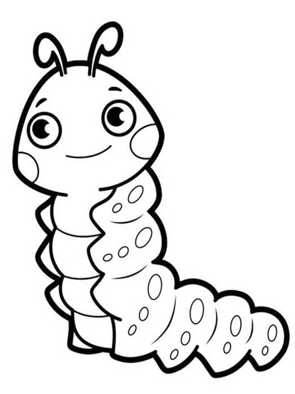 Fise de colorat cu Desenează Omida gratuit pentru copii