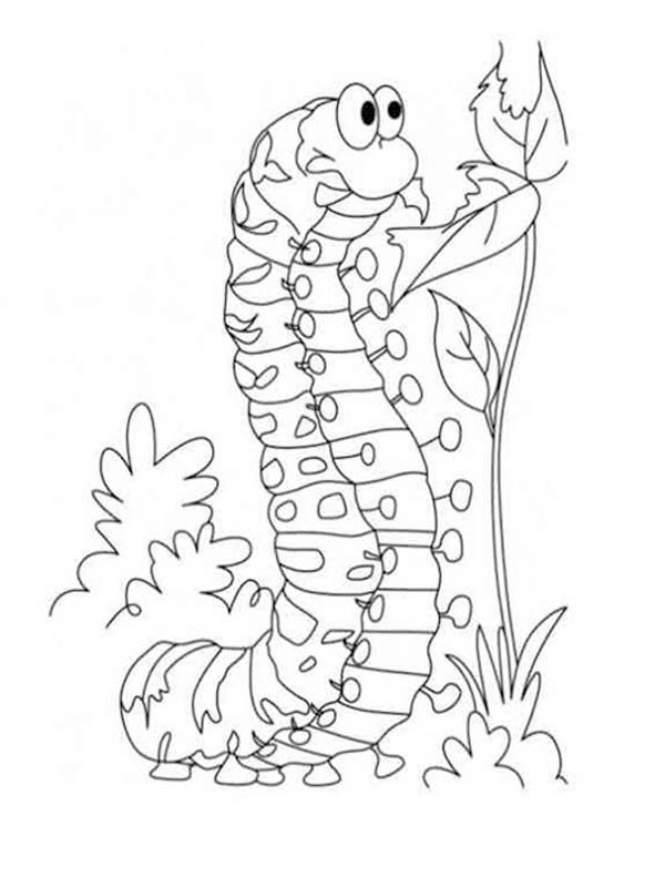 Fise de colorat cu Desenează Omida gratuit uşor