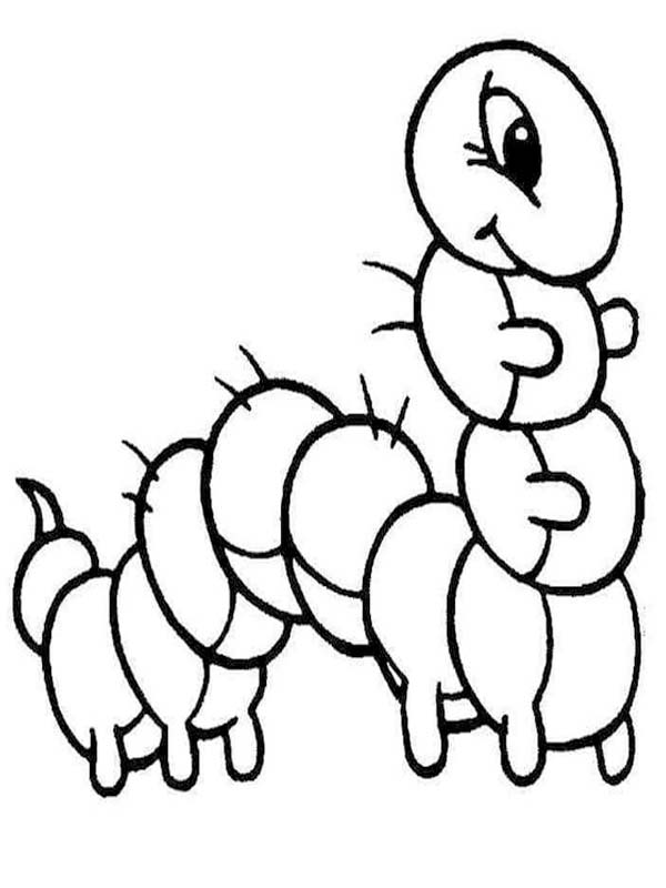 Fise de colorat cu Desenează Omida gratuit