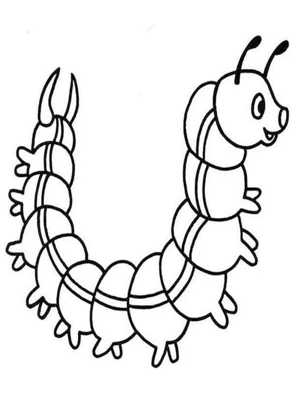 Fise de colorat cu Desenează Omida imprimabil gratuit simplu