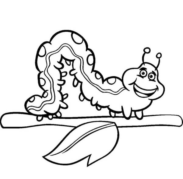 Fise de colorat cu Desenează Omida imprimabil uşor