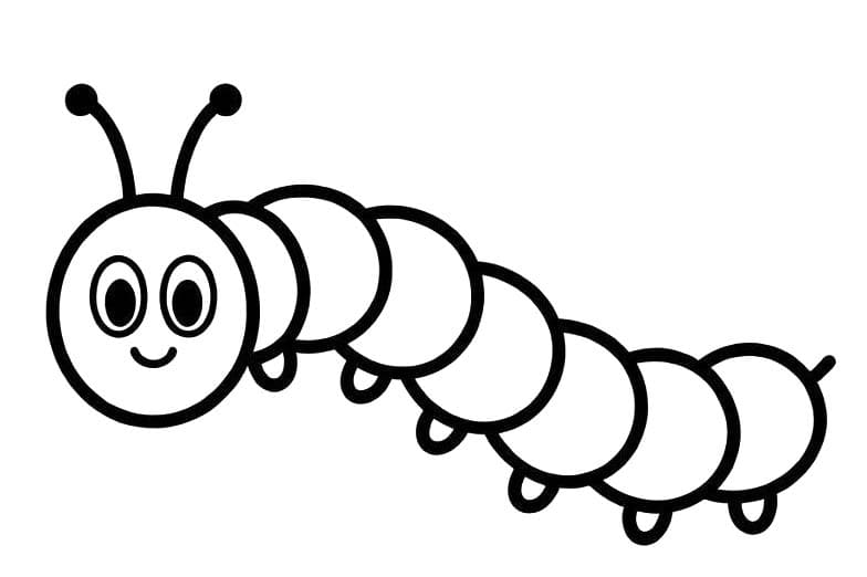 Fise de colorat cu Desenează Omida uşor