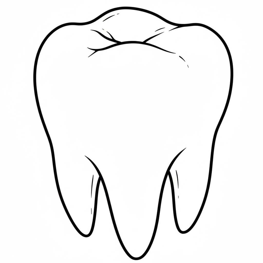 Fise de colorat cu Dinte imprimabil gratuit bazic