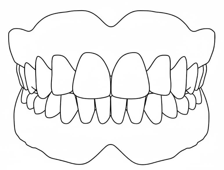 Planse de colorat cu Dinte