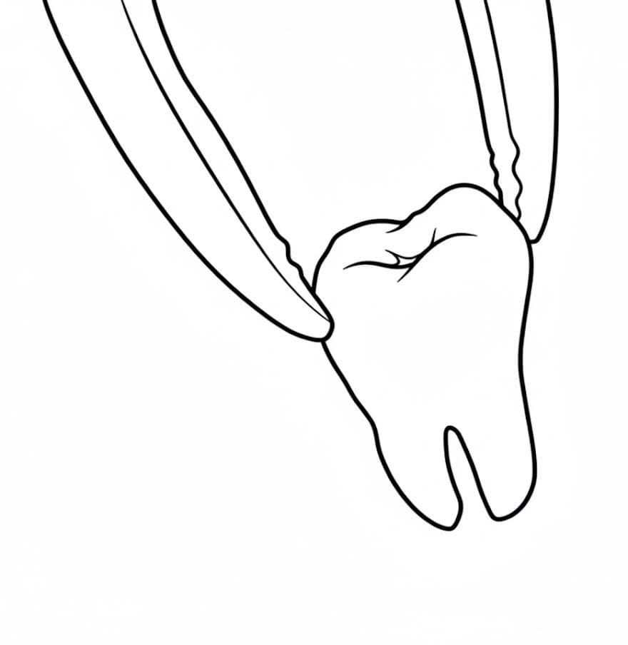 Fise de colorat cu Dinte imprimabil
