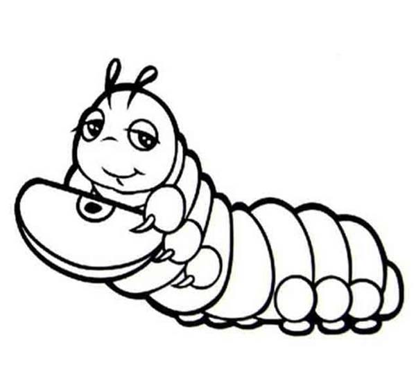 Fise de colorat cu Omida imprimabil gratuit pentru copii