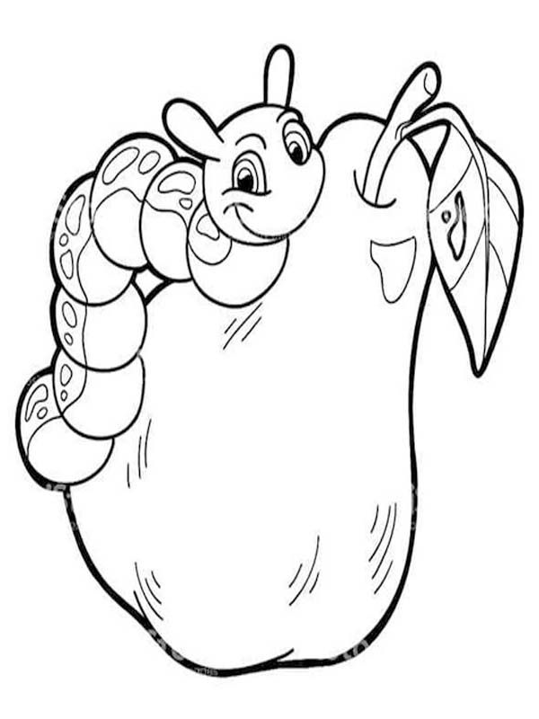 Fise de colorat cu Omida pentru copii