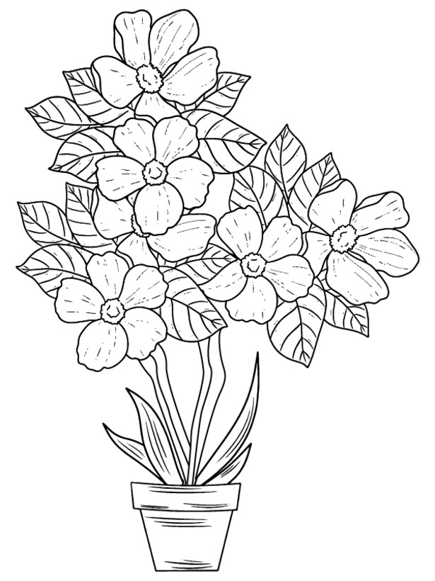 Fise de colorat cu Petunie gratuit uşor