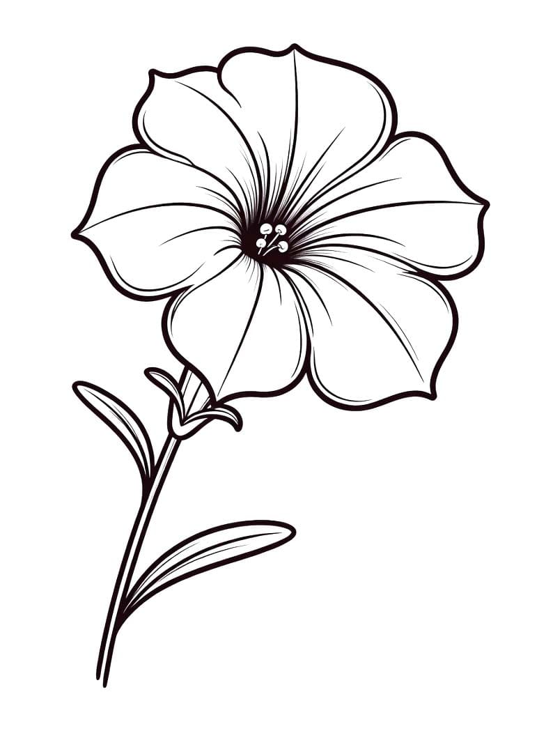 Fise de colorat cu Petunie imprimabil bazic