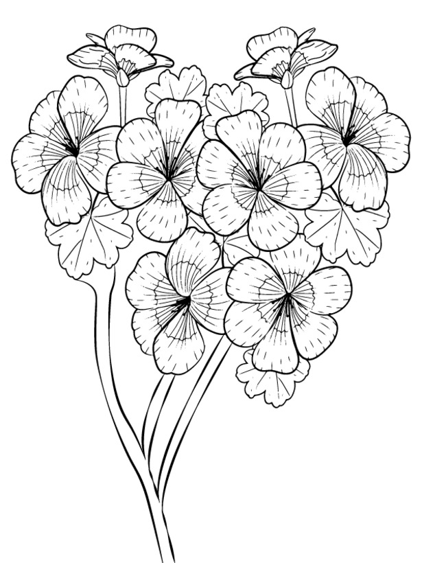 Fise de colorat cu Petunie imprimabil uşor