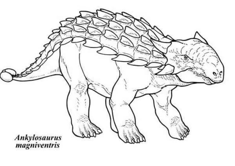 Fise de colorat cu Desenează Ankylosaurus imprimabil pentru copii