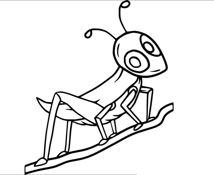 Fise de colorat cu Desenează Lăcustă gratuit bazic