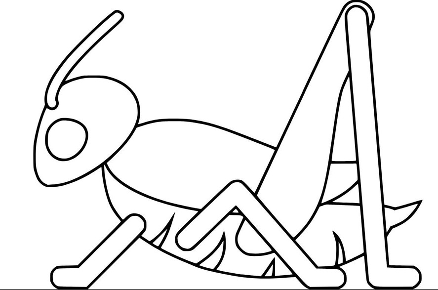 Fise de colorat cu Desenează Lăcustă imprimabil pentru copii