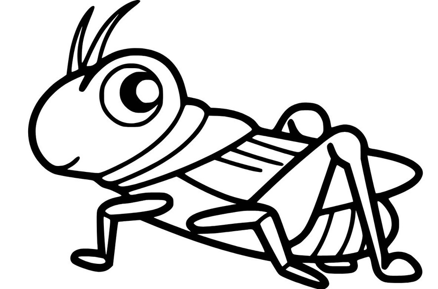 Fise de colorat cu Desenează Lăcustă imprimabil uşor
