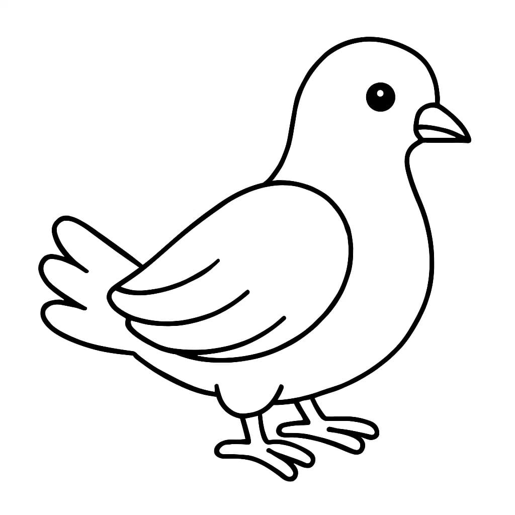 Fise de colorat cu Desenează Porumbel bazic