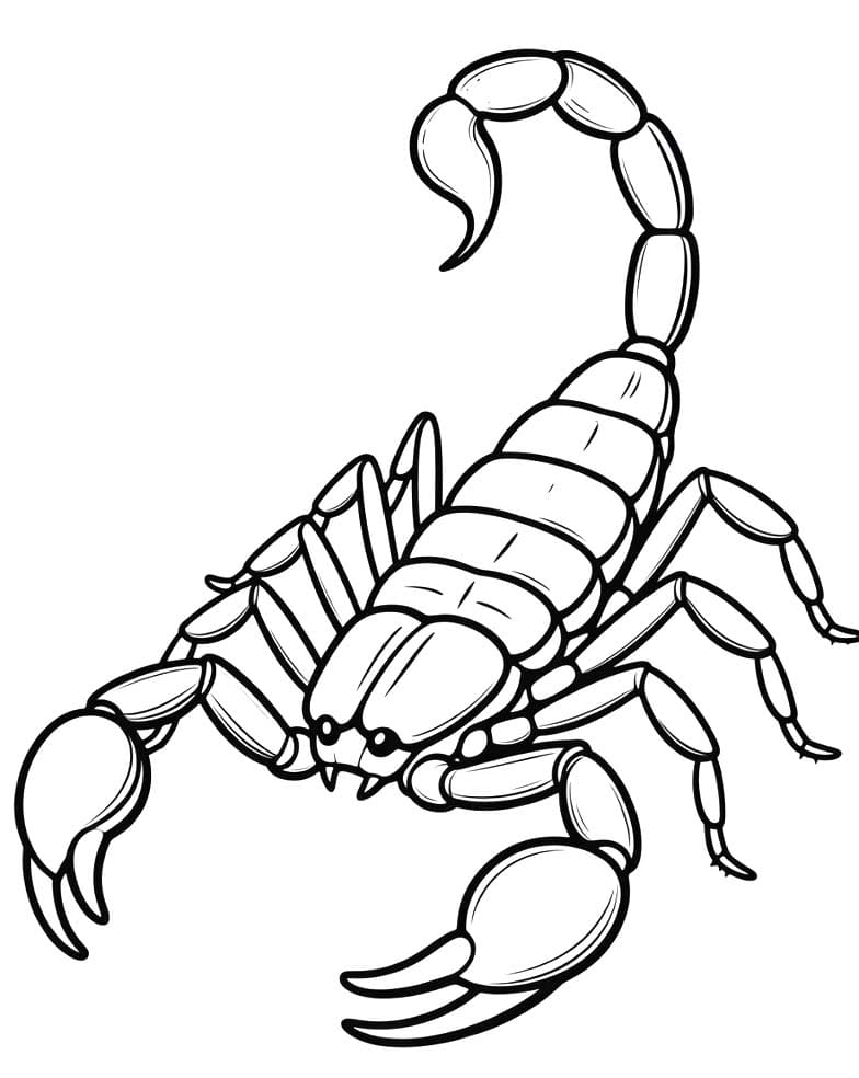 Fise de colorat cu Desenează Scorpion bazic