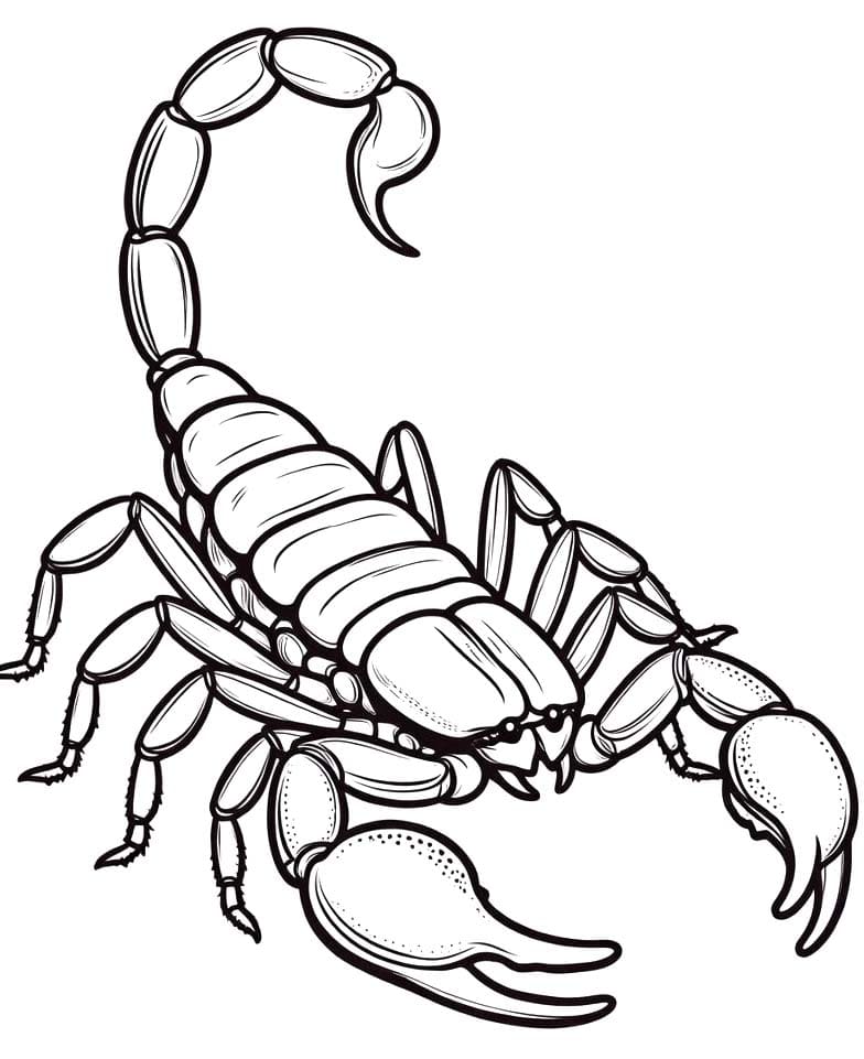 Fise de colorat cu Desenează Scorpion imprimabil gratuit simplu