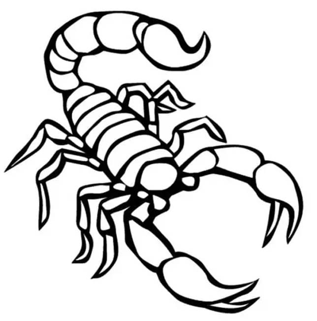 Fise de colorat cu Desenează Scorpion uşor la copii
