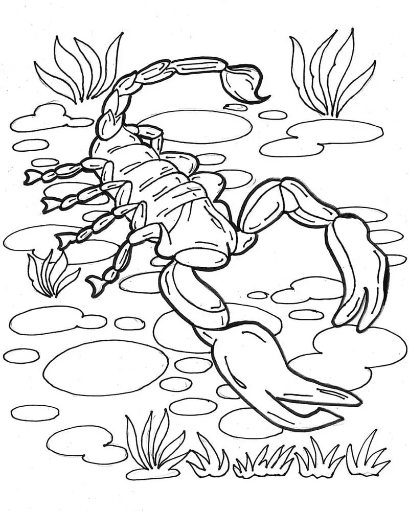 Fise de colorat cu Desenează Scorpion uşor