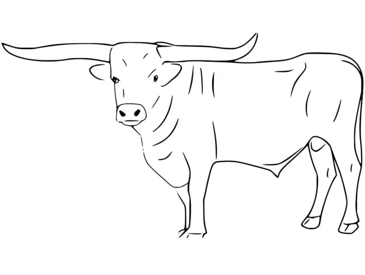 Fise de colorat cu Desenează Tauri imprimabil uşor