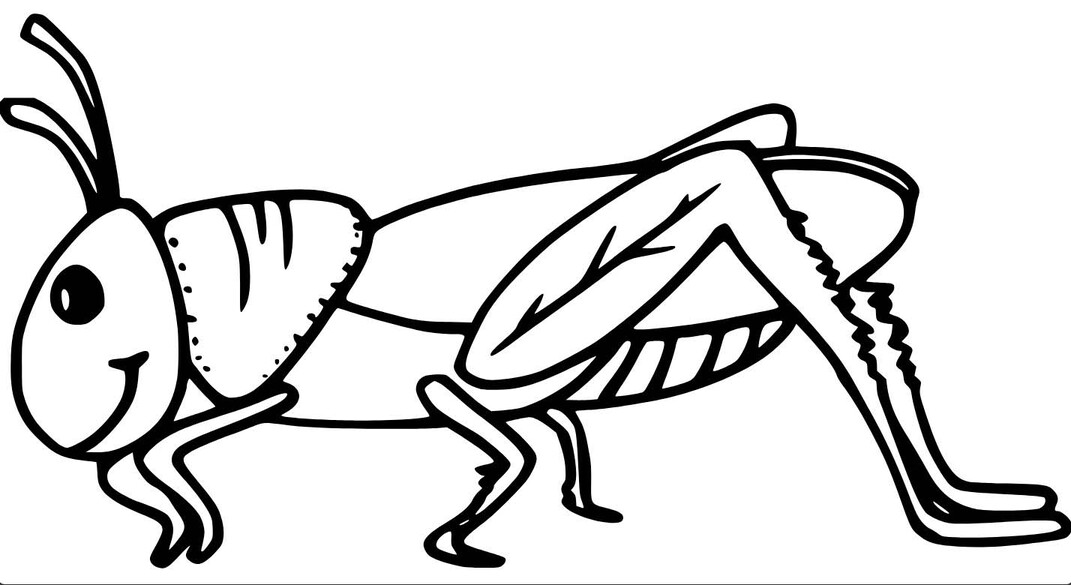Fise de colorat cu Lăcustă gratuit bazic