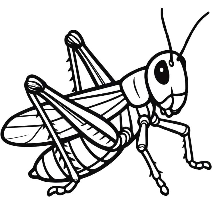 Fise de colorat cu Lăcustă gratuit