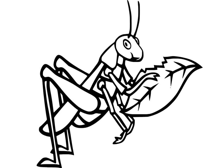 Fise de colorat cu Lăcustă imprimabil gratuit uşor