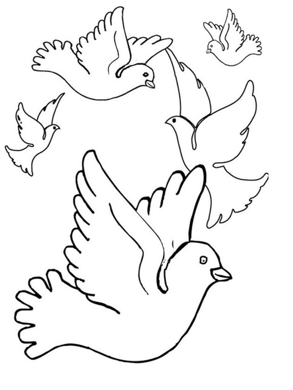 Fise de colorat cu Porumbel gratuit pentru copii