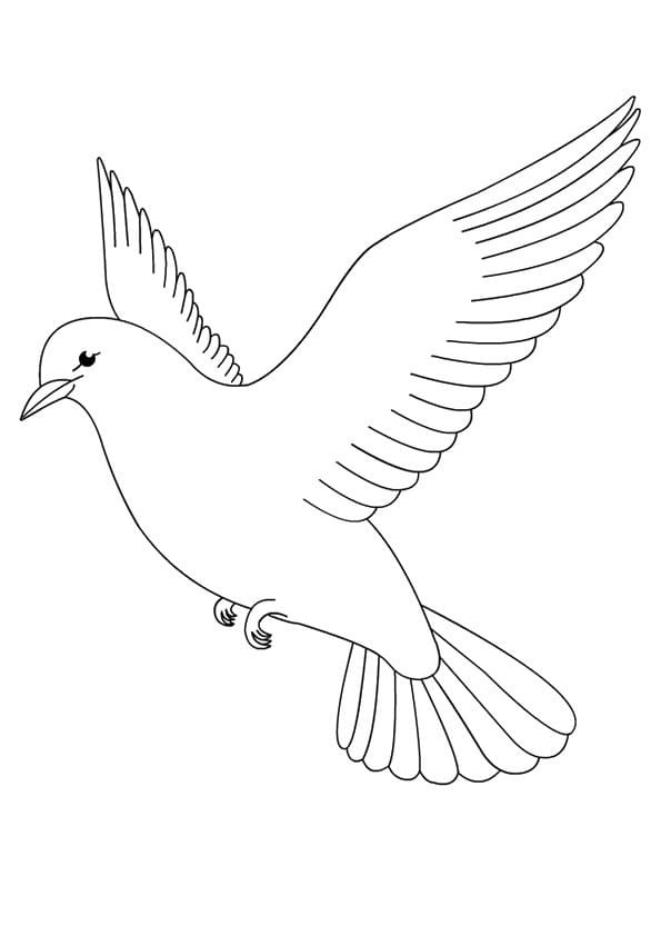 Fise de colorat cu Porumbel imprimabil gratuit bazic