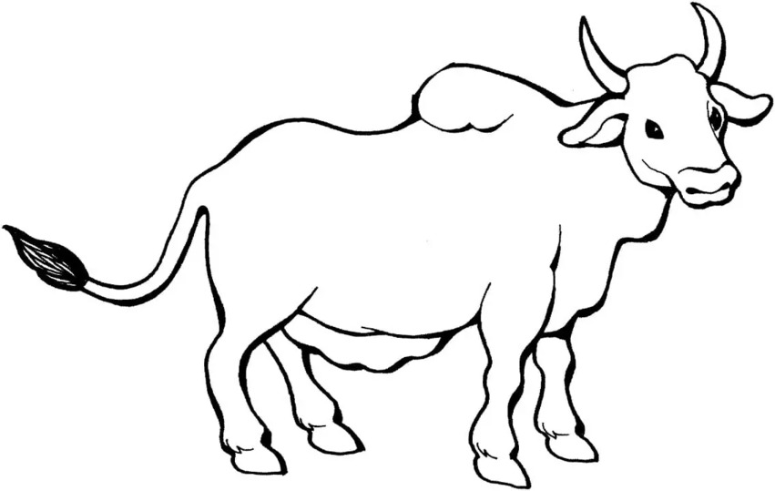 Fise de colorat cu Tauri bazic la copii