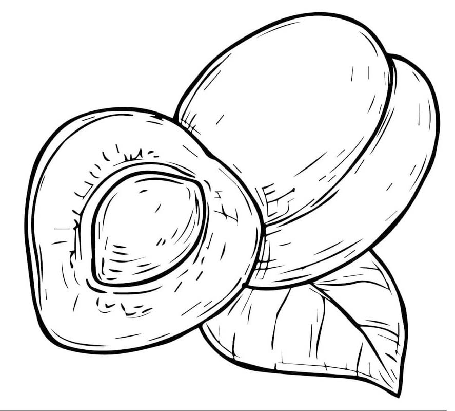 Fise de colorat cu Caisă gratuit pentru copii