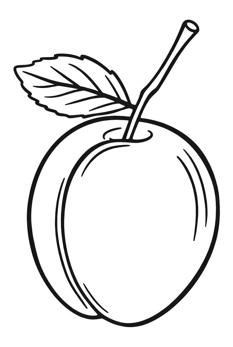 Fise de colorat cu Caisă gratuit