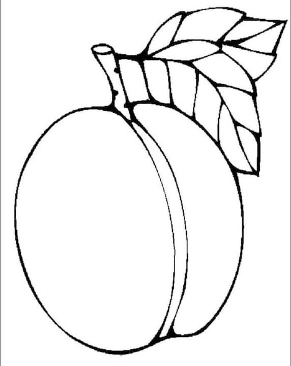 Fise de colorat cu Caisă imprimabil bazic