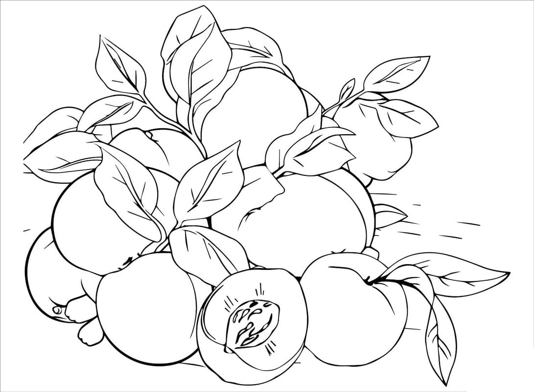 Fise de colorat cu Caisă imprimabil gratuit pentru copii