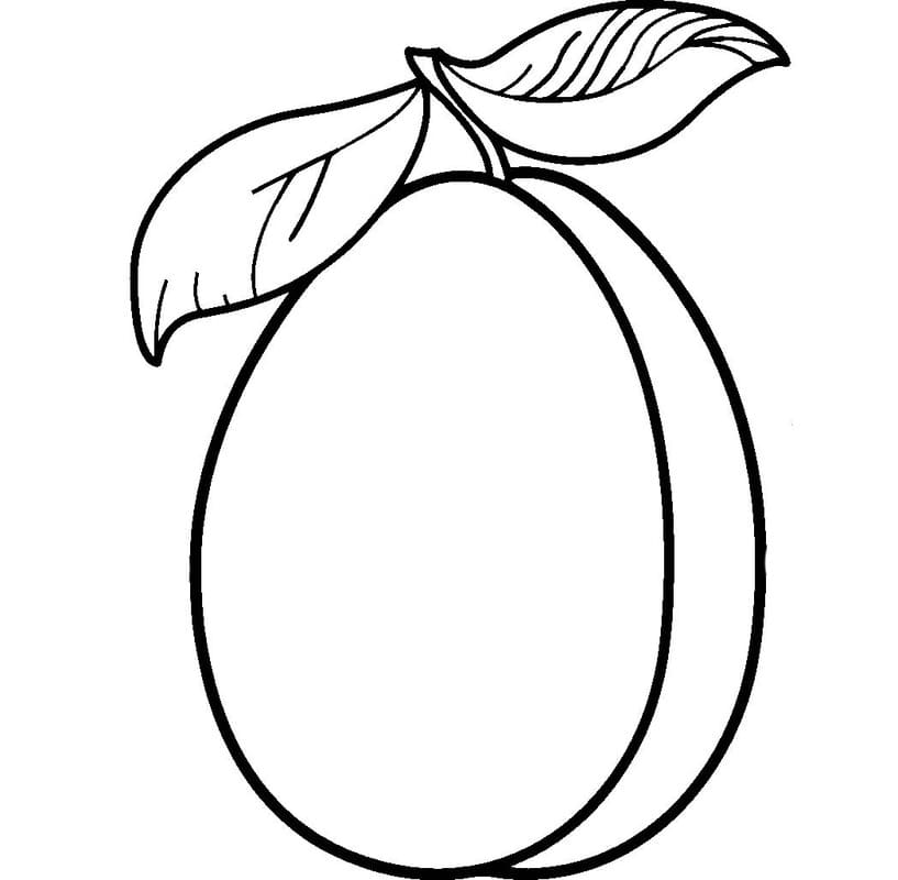 Fise de colorat cu Caisă imprimabil gratuit uşor